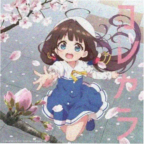 黑猫控